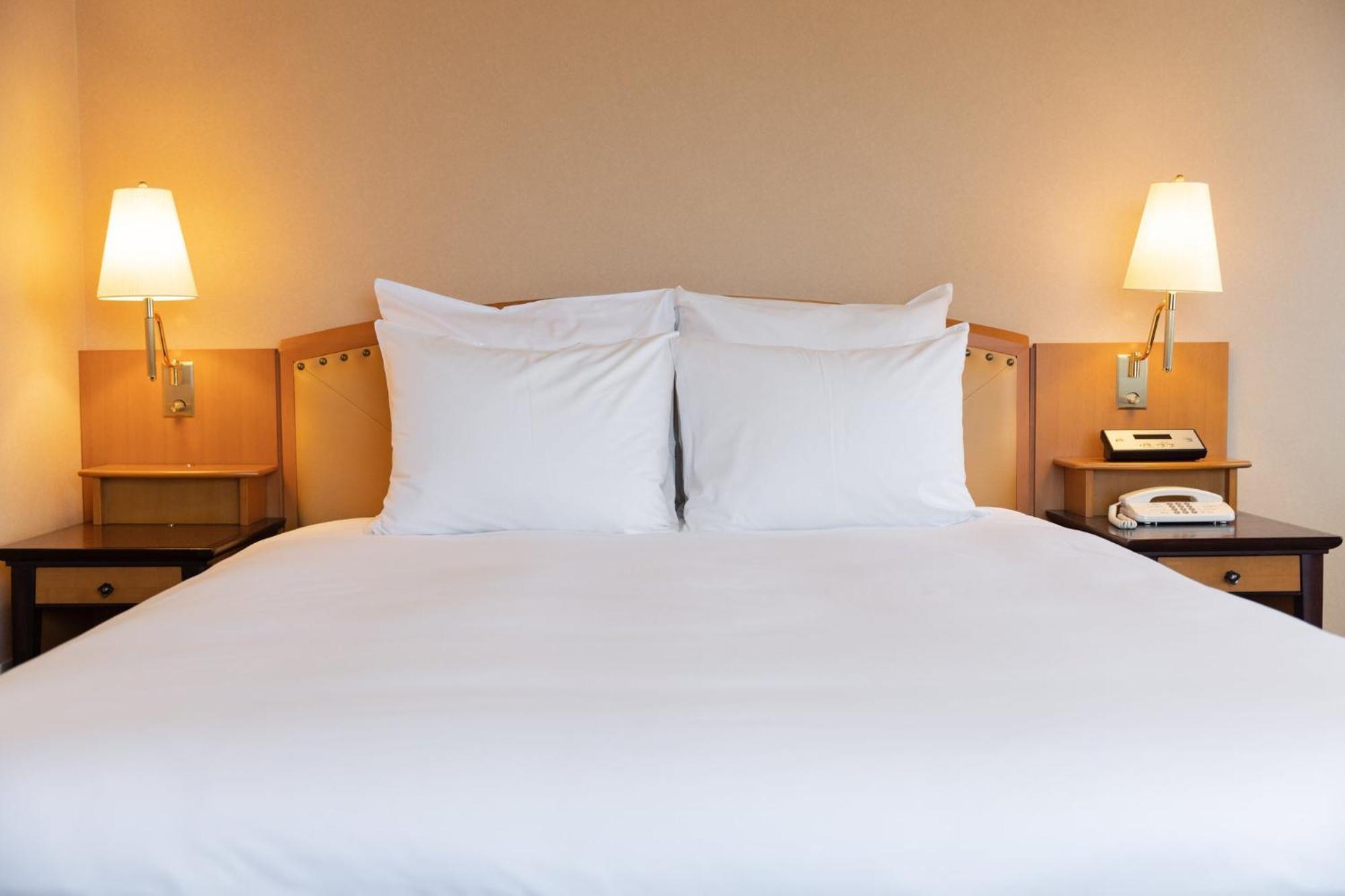 Ana Crowne Plaza Toyama By Ihg Hotell Eksteriør bilde
