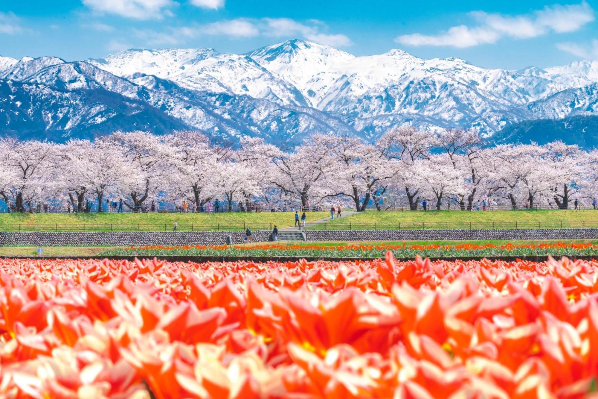 Ana Crowne Plaza Toyama By Ihg Hotell Eksteriør bilde